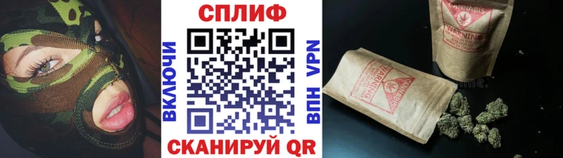APVP Мензелинск